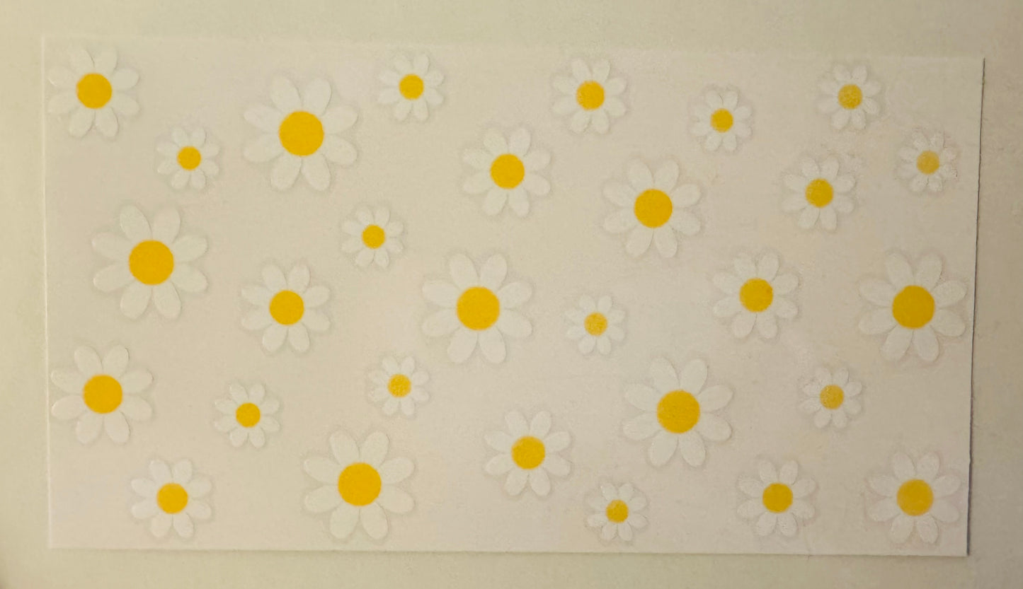 Daisys