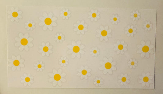 Daisys